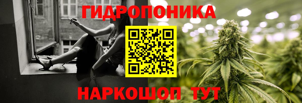 Бошки марихуана THC 21% Алексин